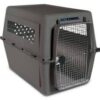 Gray airline-approved pet carrier with steel wire door and ventilation openings
