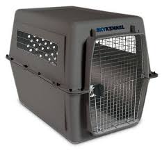 Gray airline-approved pet carrier with steel wire door and ventilation openings