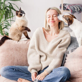 Happy woman sitting on couch with Siamese cat and Jack Russell Terrier dog at home